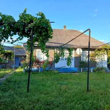 Велике господарство в селі Малинці