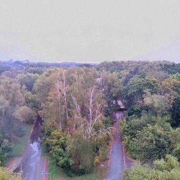 ..1-кімнатна під Ваш ремонт на Червоному мосту з видом на Горсад YN