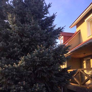 Аренда дома в Обуховке