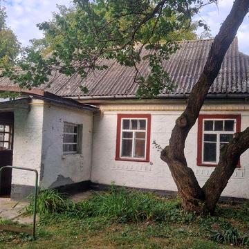 Будинок в с. Родниківка