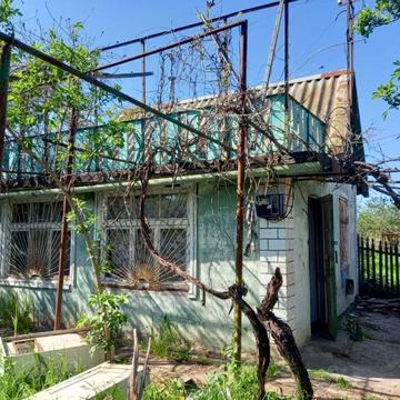 Центральная