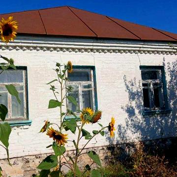 Продаж Будинку в с. Требухів, вул. Липнева ( Крупської)
