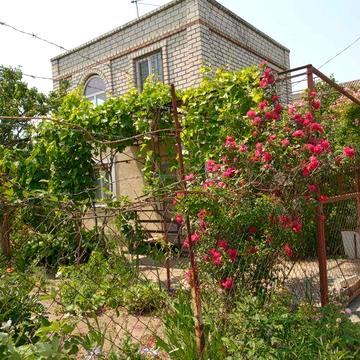 Продам дачу у садовому товаристві