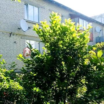 Продам 4-кімнатна квартира в селищі Уланів Вінницької обл.