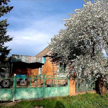 Продаю будинок центрально-міський р-н, вул. Тимошенка(Христини Сушко)