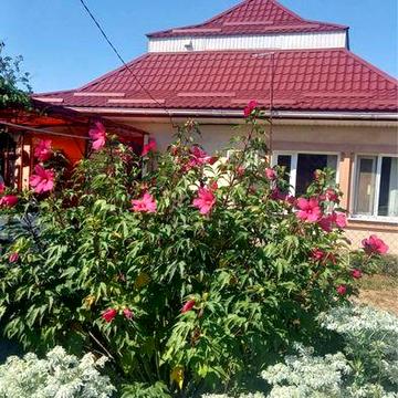 Продам 1 поверховий будинок ( Лелеківка)