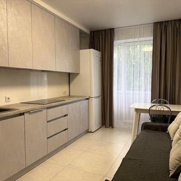 Здам 1-но кімнатну квартиру