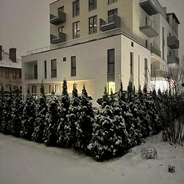 ‼️Пентхаус Люкс 170м²,ремонт, меблі, техніка, парк, власник‼️