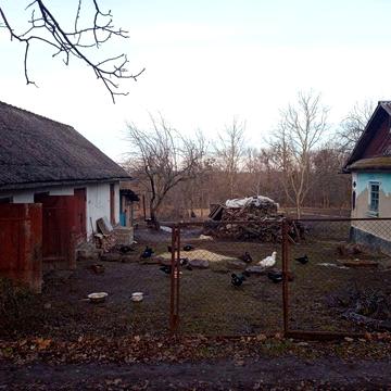 Хата с. Залісці. Відео в описі.