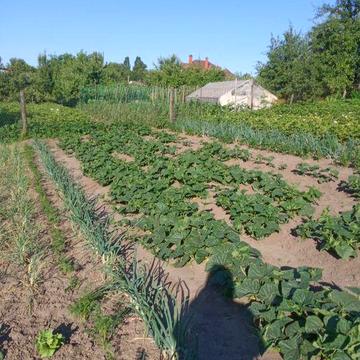 Будинок 83 м2 с.Гореничі центр