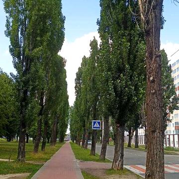 Продаж 47м2 з великою лоджією. Двостороння. Здан. ЖК Сади Вишневі. ЖК Сади Вишневі