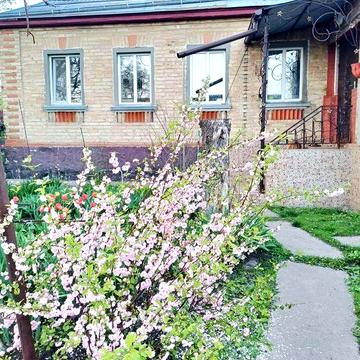 Продам добротний будинок