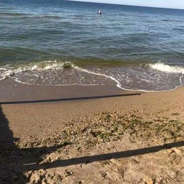 Дача в Дофиновке! Закрытый кооператив.