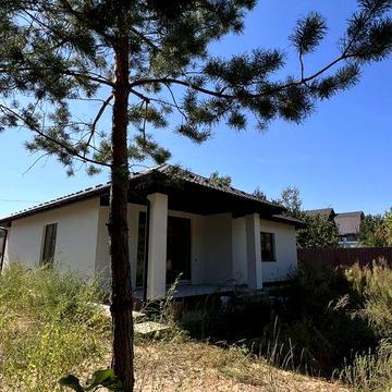 Купуй будинок біля лісу і отримай генератор в подарунок