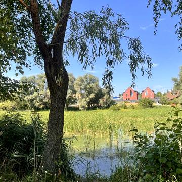 Богдана Хмельницкого вул., 72