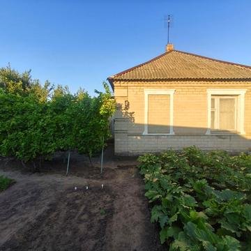 Ігренський пров. (Бакуніна), 5