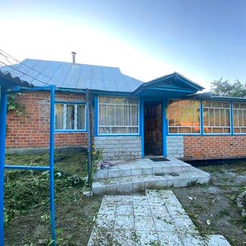 Великий будинок на березі Десни