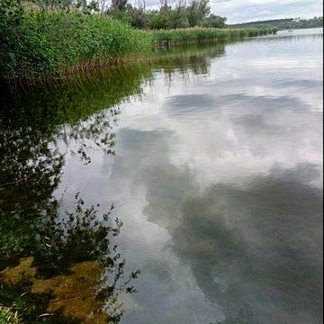 Продається садиба, с.Богданівка ,Кіровоградська обл.