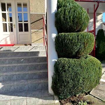 Оренда будинку Буштино
