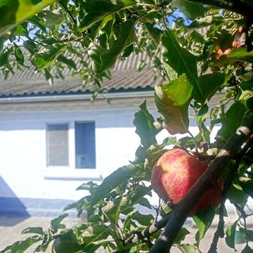 Пропонуємо Вам будинок до продажу