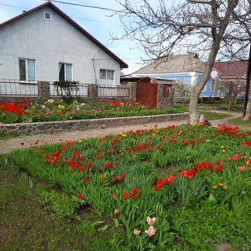 Продається будинок від власника район 4 школи