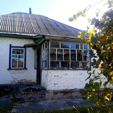 Продаж будинку в селі на березі Дніпра.