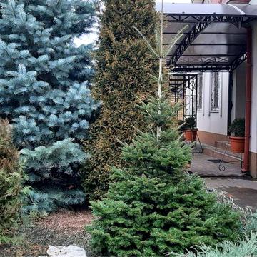 Продам дом на Клочко Левый берег 3 спальни