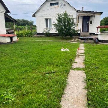 Продам будинок с.Дрозди(15 км від Білої Церкви)