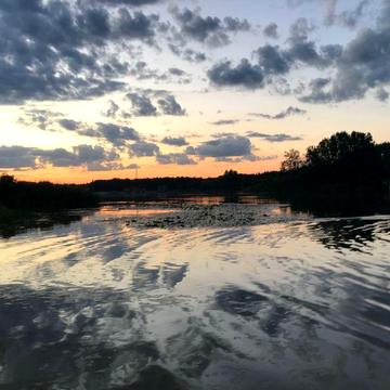 Козин, Конча Заспа. Продам дачу в Козине  СТ Ветеран