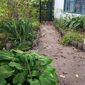 Дом в селе радостное 15 км от левого берега.