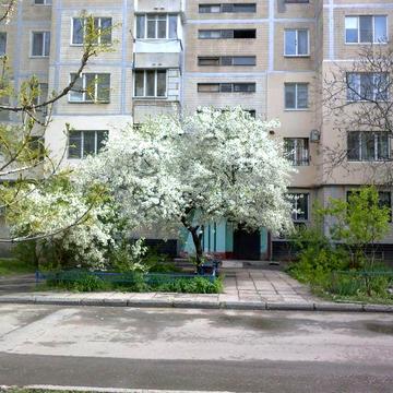 Обмен, возможна продажа от собственника