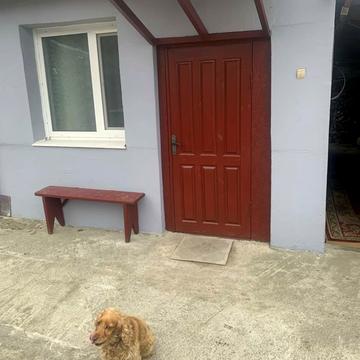 Сухий Яр пров.