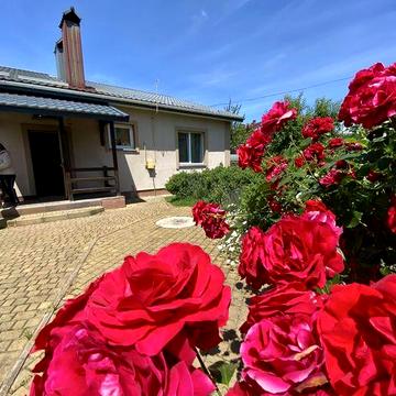 Продаж Будинок Обрій 130м кв