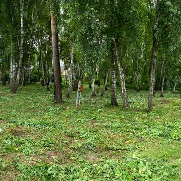 Романків, Обухівський, Київська область 60000.0 USD