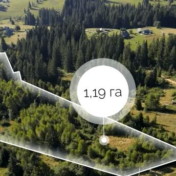 Яблуниця, Надвірнянський, Івано-Франківська область 416500.0 USD
