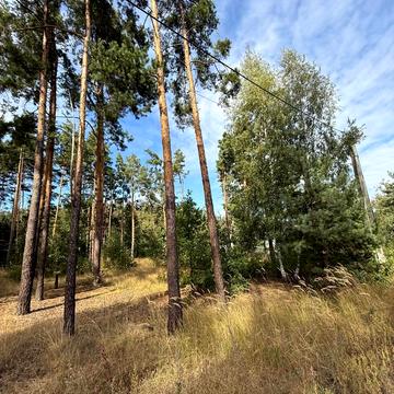 Блиставиця, Бучанський, Київська область 130000.0 USD