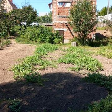 Провулок Соловїний