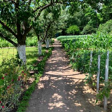 Продаж дачі біля лісу в межах Києва.