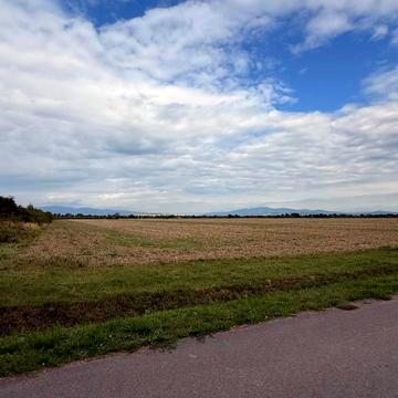 Перемоги вул.