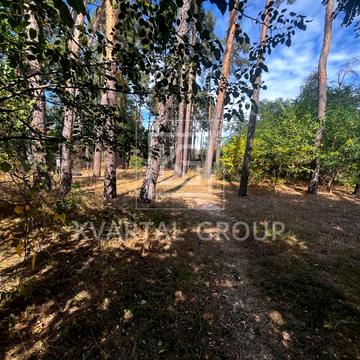 Дзвержинського, 19