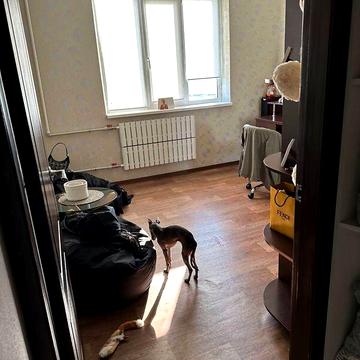 Продаж 2к Квартира Григоренка Петра проспект