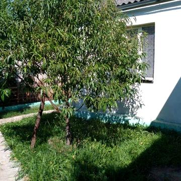 Продам дом в Харькове район Сортировки.