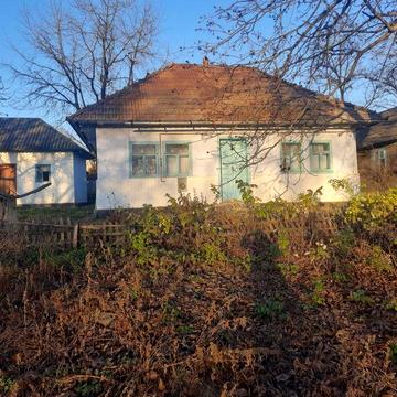 Продається  господарство  в затишному селі Чернівецької обл. БІЛІВЦІ