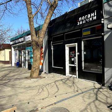 Людвіга Свободи просп., 39