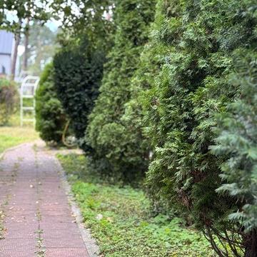 Здам в оренду Будинок в Бучі централтна частина