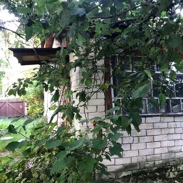 Будинок в селі на березі річки Десна