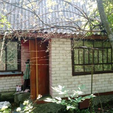Дача Тетеревский масив житомирская область