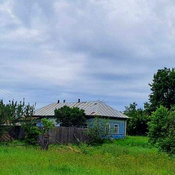 Будинок з присадибною ділянкою