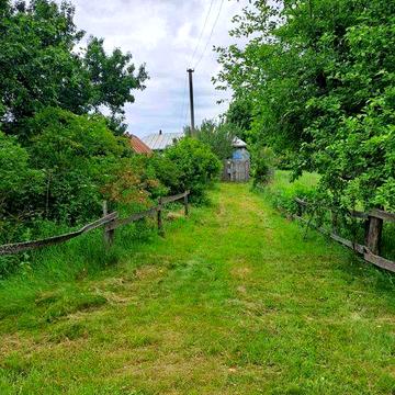 Будинок з присадибною ділянкою