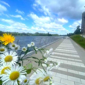 Продаж 3-х кімн.квартири, вул.Шептицького 3Б, м.Лівобережна 5 хв, Без%